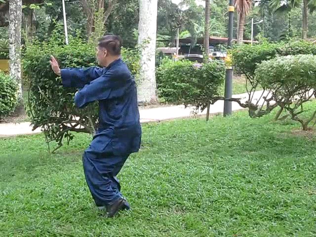 Wu Yu Xiang Style Taijiquan